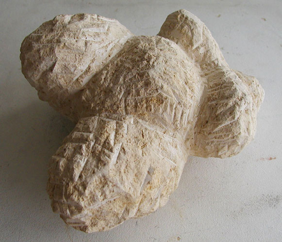 Venera